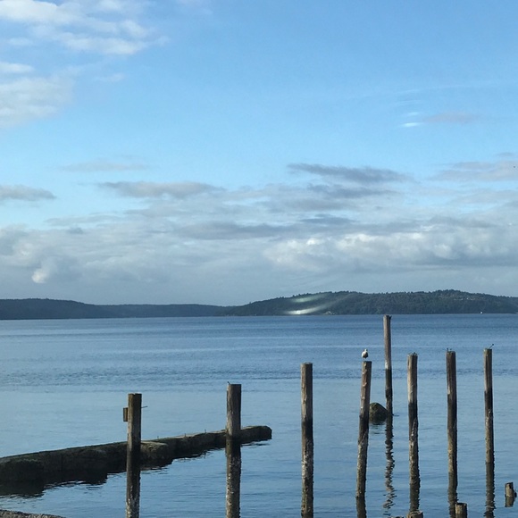 Meet your Posher, Amy - Picture 3 of 8